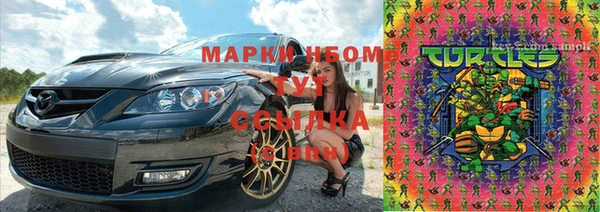 шишки Богородицк